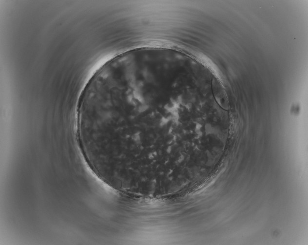 X0000090861095200708101214