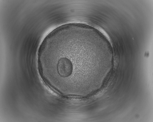 X0000090861096200708101214