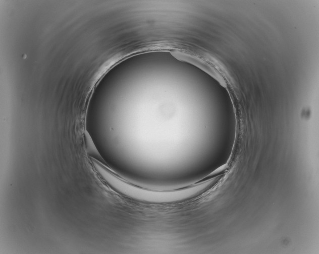 X0000090861097200708101214