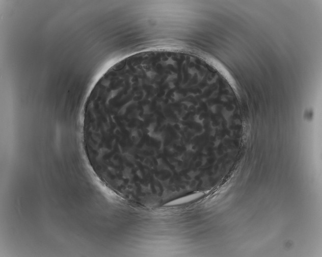 X0000090861099200708101214