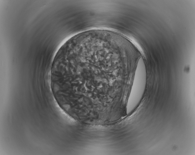 X0000090861100200708101214