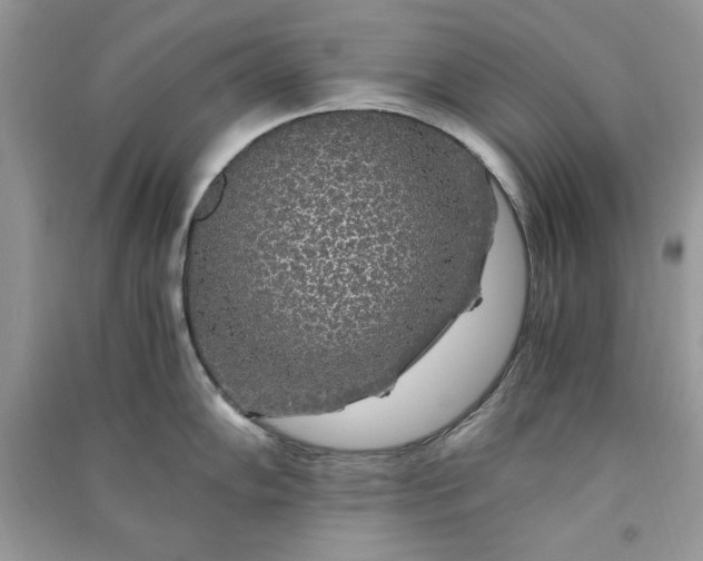 X0000090861102200708101214