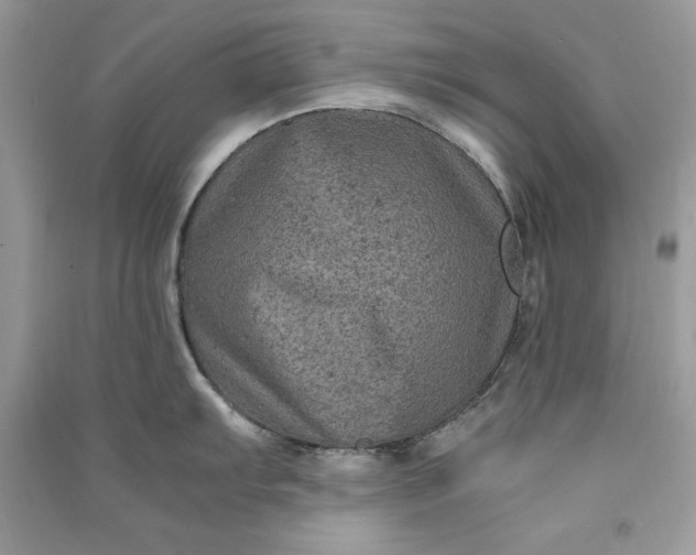 X0000090861103200708101214