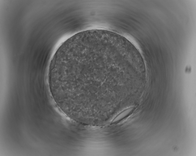 X0000090861104200708101214