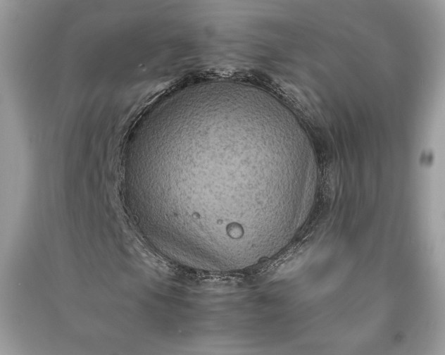 X0000090861105200708101213