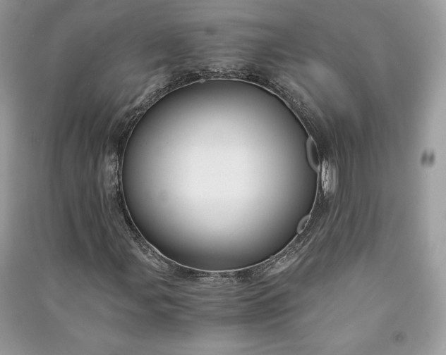 X0000090861107200708101213