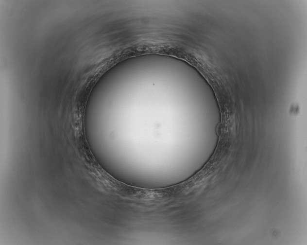 X0000090861109200708101213