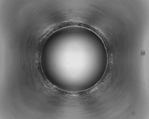 X0000090861110200708101213