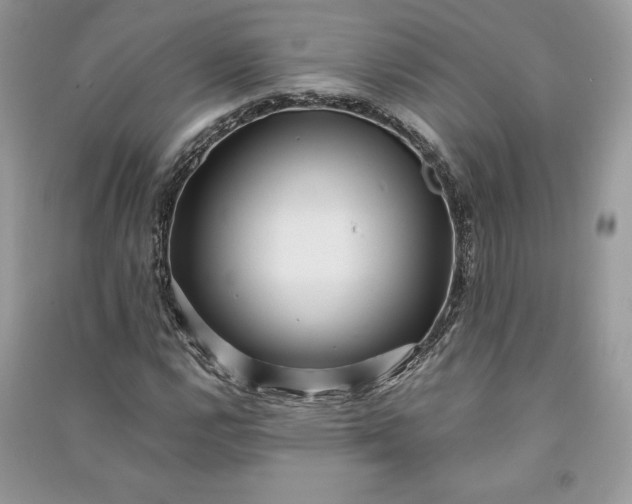 X0000090861112200708101213