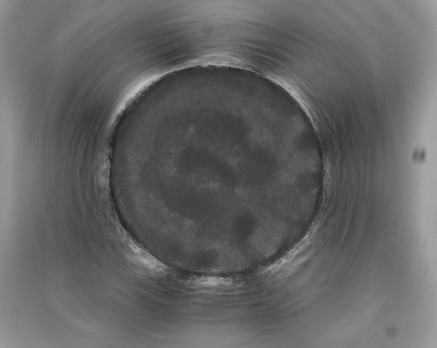 X0000090861115200708101213