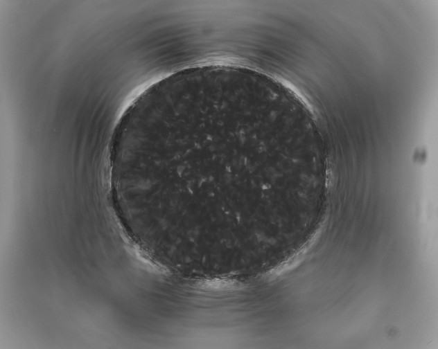 X0000090861117200708101213