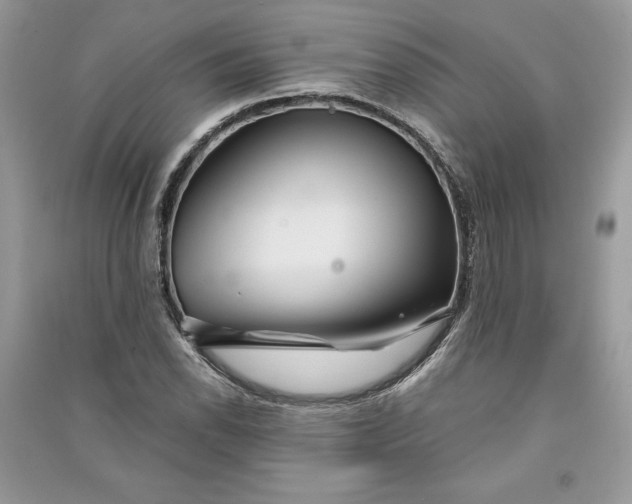 X0000090861118200708101213