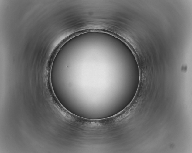 X0000090861119200708101213