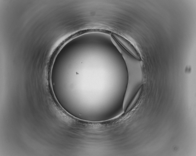 X0000090861120200708101214