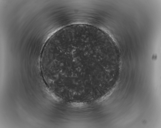 X0000090861121200708101214