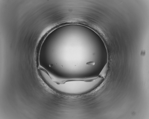 X0000090861122200708101214