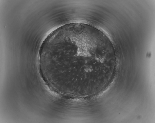 X0000090861125200708101214