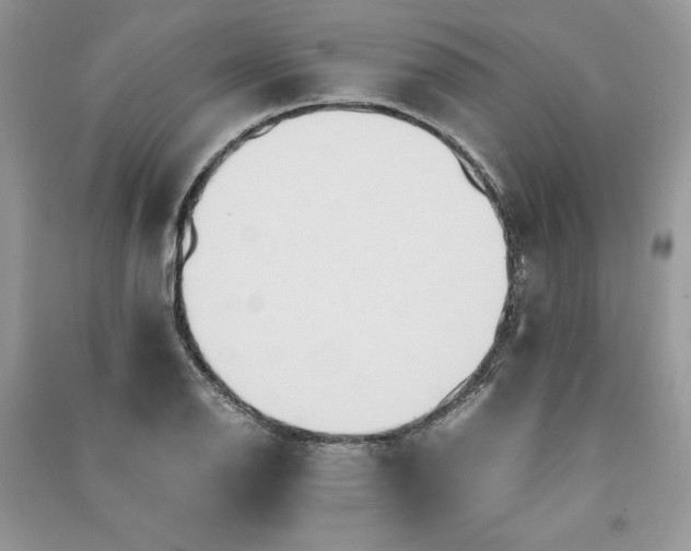 X0000090861126200708101214