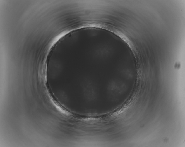 X0000090861127200708101214