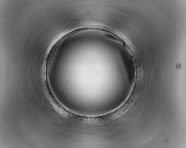 X0000090861128200708101214