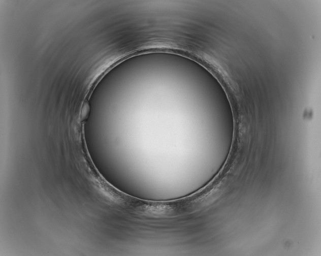 X0000090861129200708101214