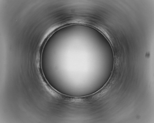 X0000090861131200708101214