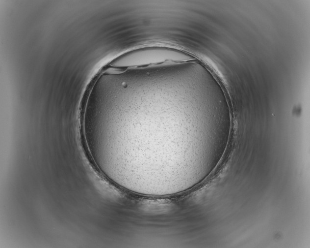 X0000090861133200708101214