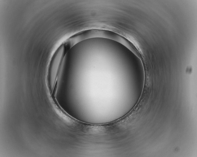 X0000090861136200708101214