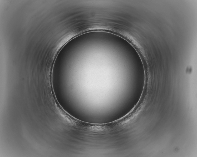 X0000090861137200708101214