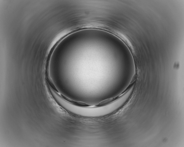 X0000090861138200708101214