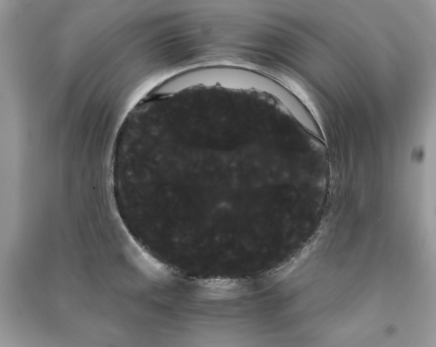 X0000090861141200708101214