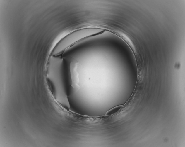 X0000090861146200708101214