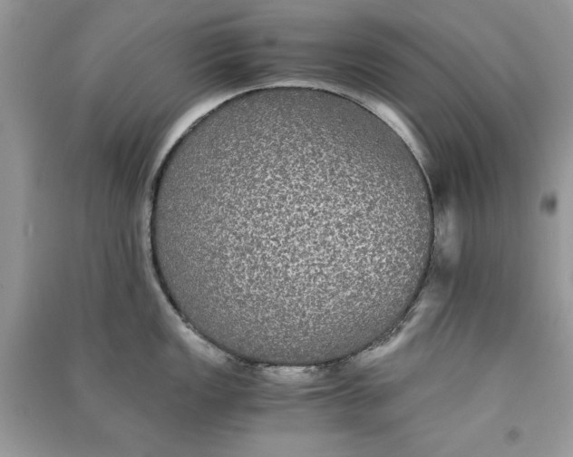 X0000090861149200708101214