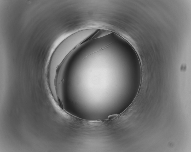 X0000090861152200708101214