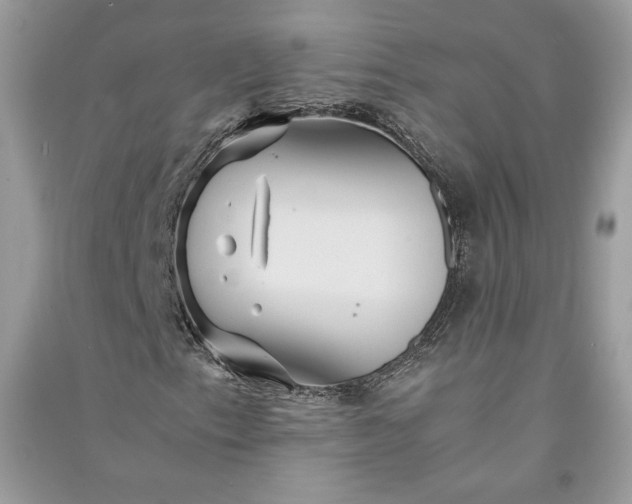 X0000090861153200708101213