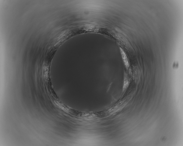 X0000090861154200708101213