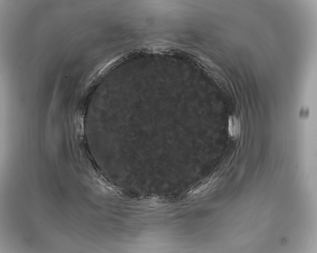 X0000090861155200708101213