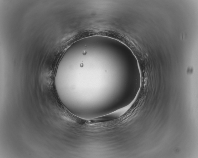 X0000090861156200708101213