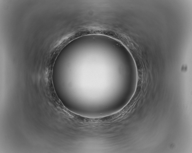 X0000090861157200708101213