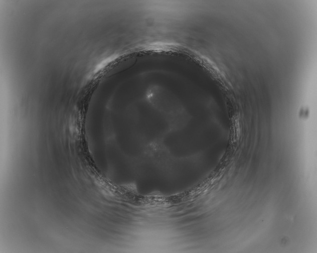 X0000090861158200708101213