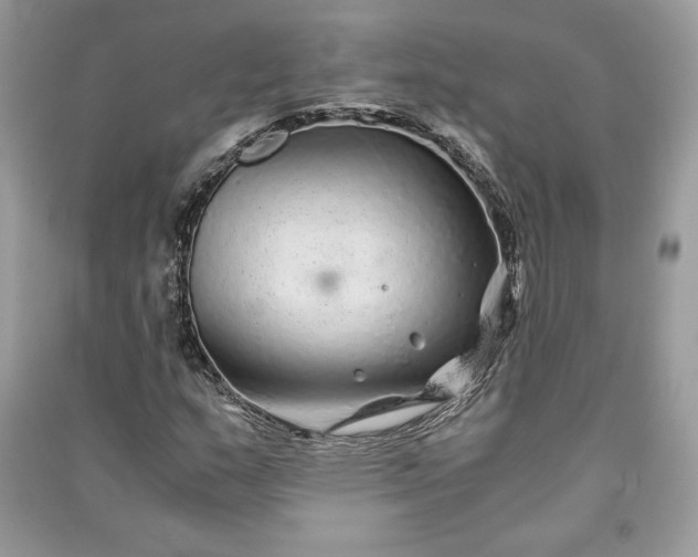 X0000090861159200708101213