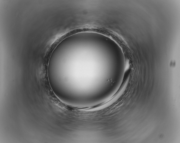 X0000090861160200708101213