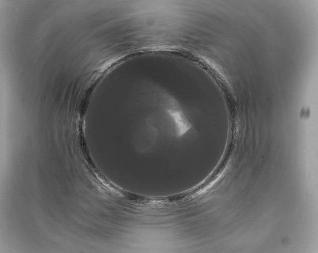 X0000090861161200708101213