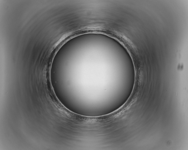 X0000090861162200708101213