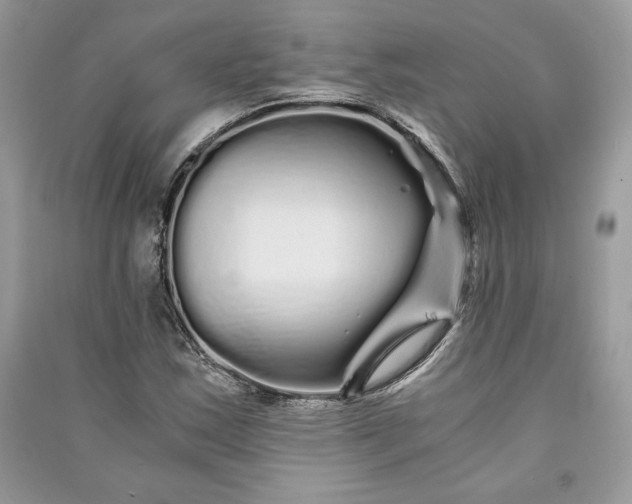 X0000090861163200708101213