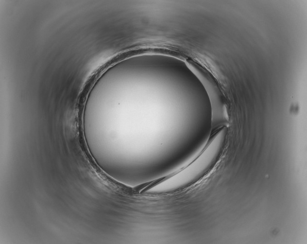 X0000090861164200708101213