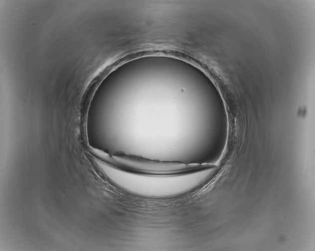 X0000090861165200708101213