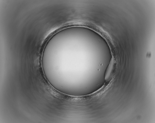 X0000090861166200708101213