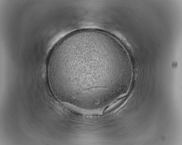 X0000090861167200708101213