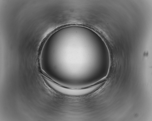 X0000090861168200708101213